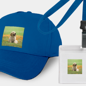 2dcapcard 3D帽子工牌定制